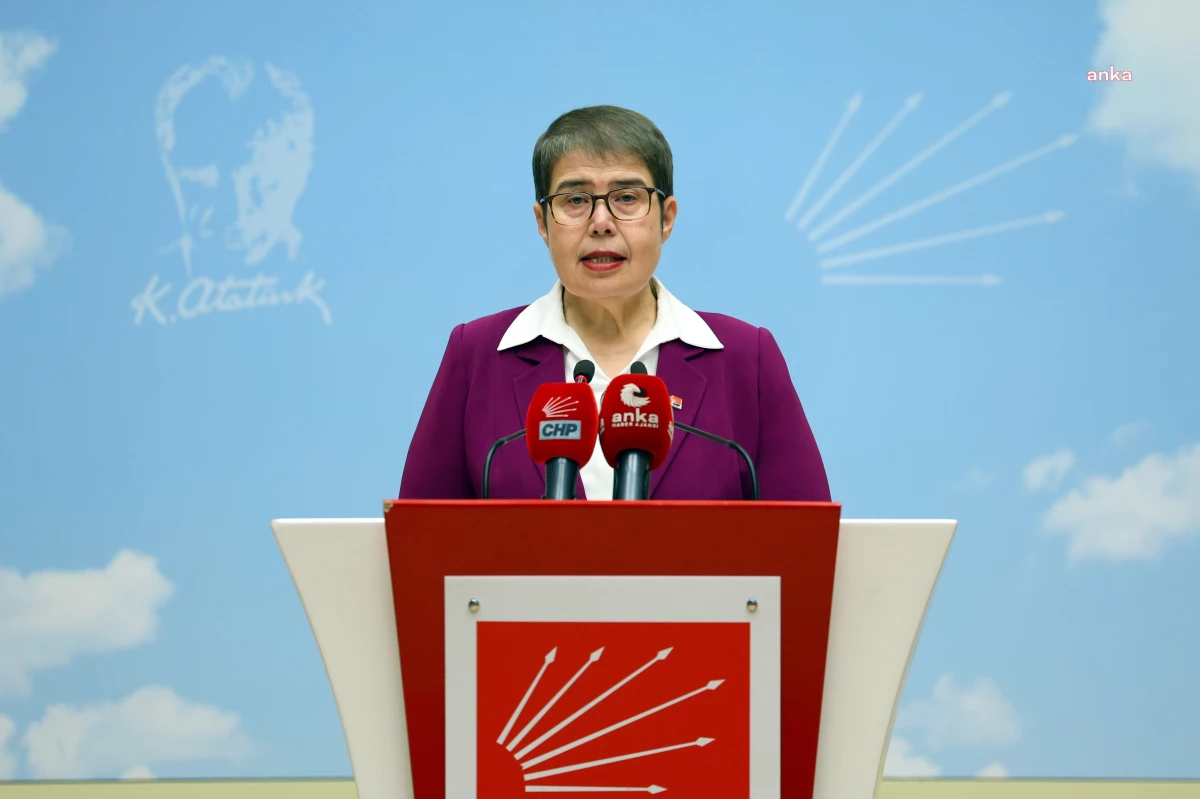 CHP Genel Başkan Yardımcısı Zeliha Aksaz Şahbaz: Sağlıkta şiddetin mimarı siyasi iktidardır