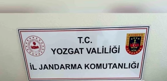 Yozgat'ta Tarihi Eser Operasyonu: 69 Adet Obje Ele Geçirildi