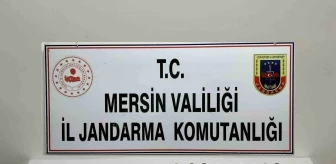 Mersin'de Tarihi Eser Operasyonu: Onlarca Sikke ve Tarihi Para Ele Geçirildi