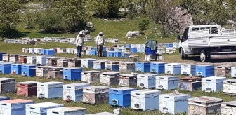 Hakkari'de Bal Üretim Sezonu Başladı