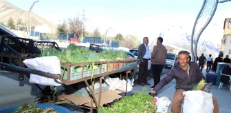 Hakkari Dağlarında Doğal Bitkilerin Satışı