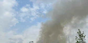 İzmit'te bir market deposunda çıkan yangın kontrol altına alındı