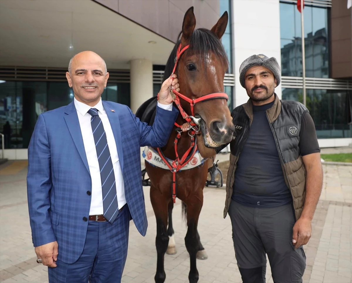Körfez Belediye Başkanı Şener Söğüt\'e hayırlı olsun ziyareti atlı gerçekleşti