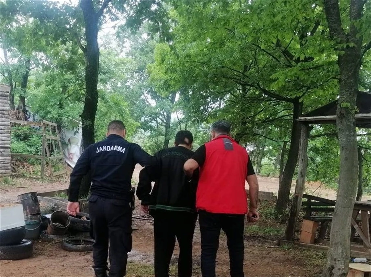 Yalova\'da çıkan orman yangınına sebep olduğu iddia edilen kişi gözaltına alındı