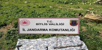 Bitlis'te düzenlenen operasyonda silah ve mühimmat ele geçirildi