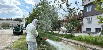 Bozüyük Belediyesi Sinek ve Haşere İlaçlama Çalışmalarına Devam Ediyor