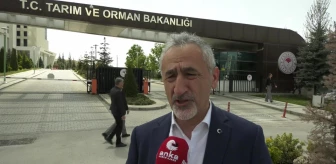 CHP Ordu Milletvekili Mustafa Adıgüzel, Kahverengi Kokarca Böceği İstilasına Dikkat Çekti