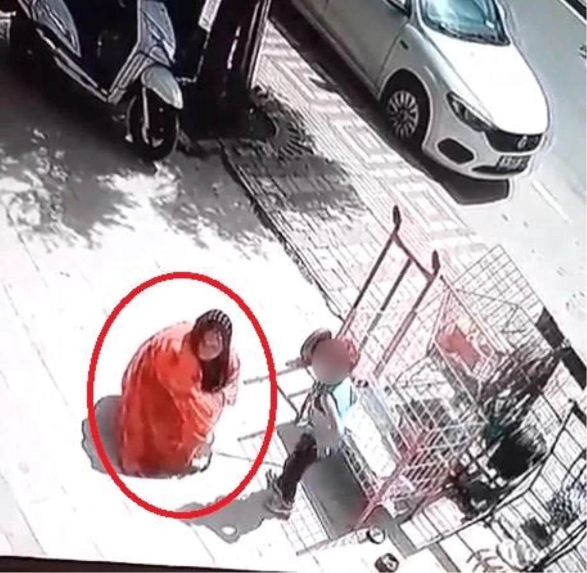 Bursa\'da Bir Kadın, Dükkanın Önündeki Köpeği Çaldı