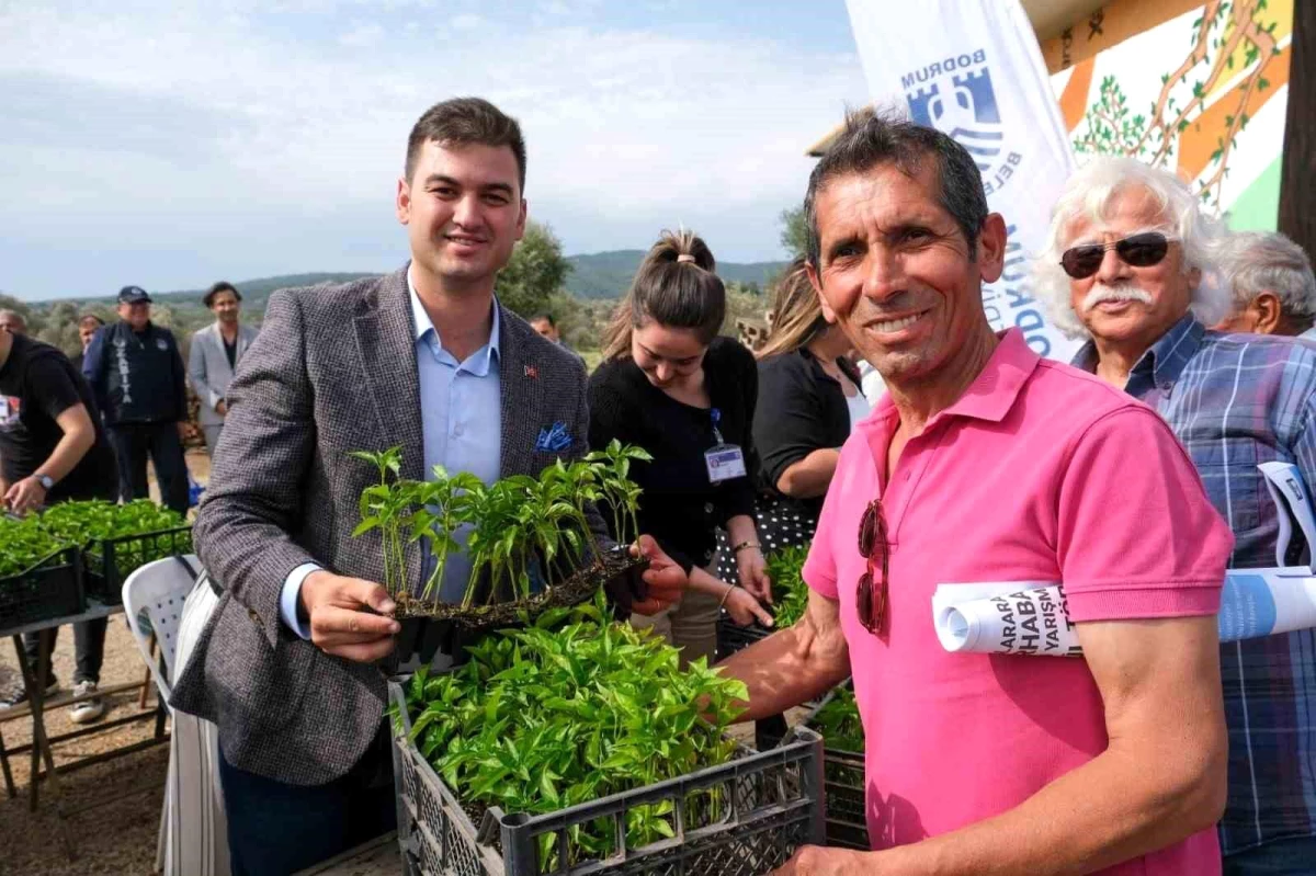 Bodrum Belediyesi Atalık Yerli Tohumları Üreticilere Hibe Etti