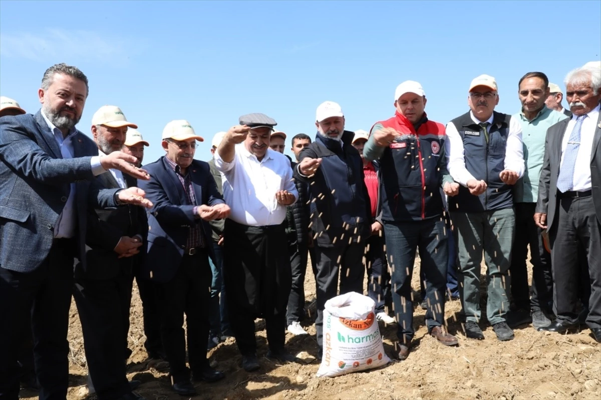 Kocasinan Belediye Başkanı Ahmet Çolakbayrakdar, çiftçilere nohut tohumu dağıttı