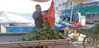 Malazgirt'te doğal otlar tezgahlarda satışa sunuluyor