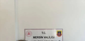 Mersin Çamlıyayla'da kaçak kazı yapan 2 kişi gözaltına alındı