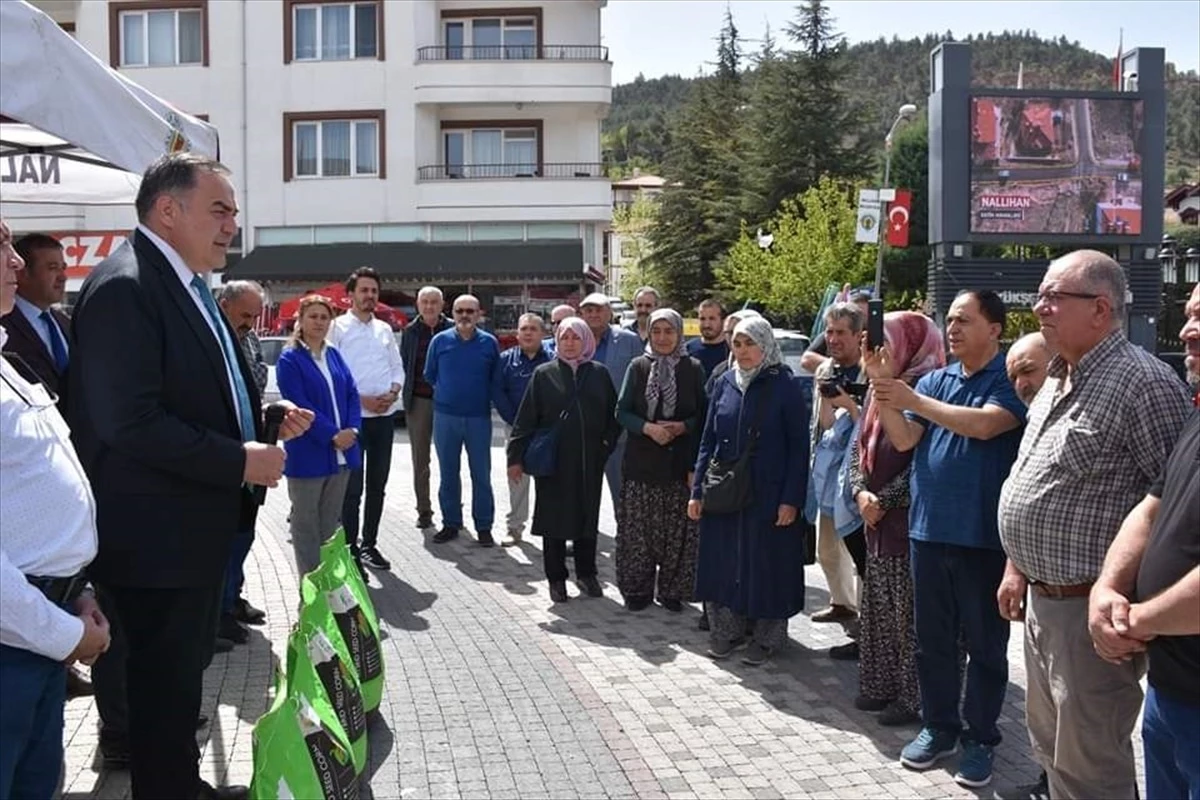 Nallıhan Belediyesi, çiftçilere silajlık mısır tohumu desteği verdi