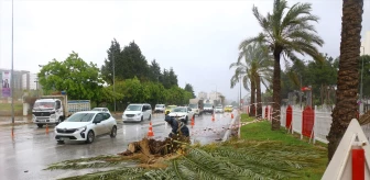 Antalya'da Fırtına Sonrası Büyükşehir Belediyesi Müdahale Etti