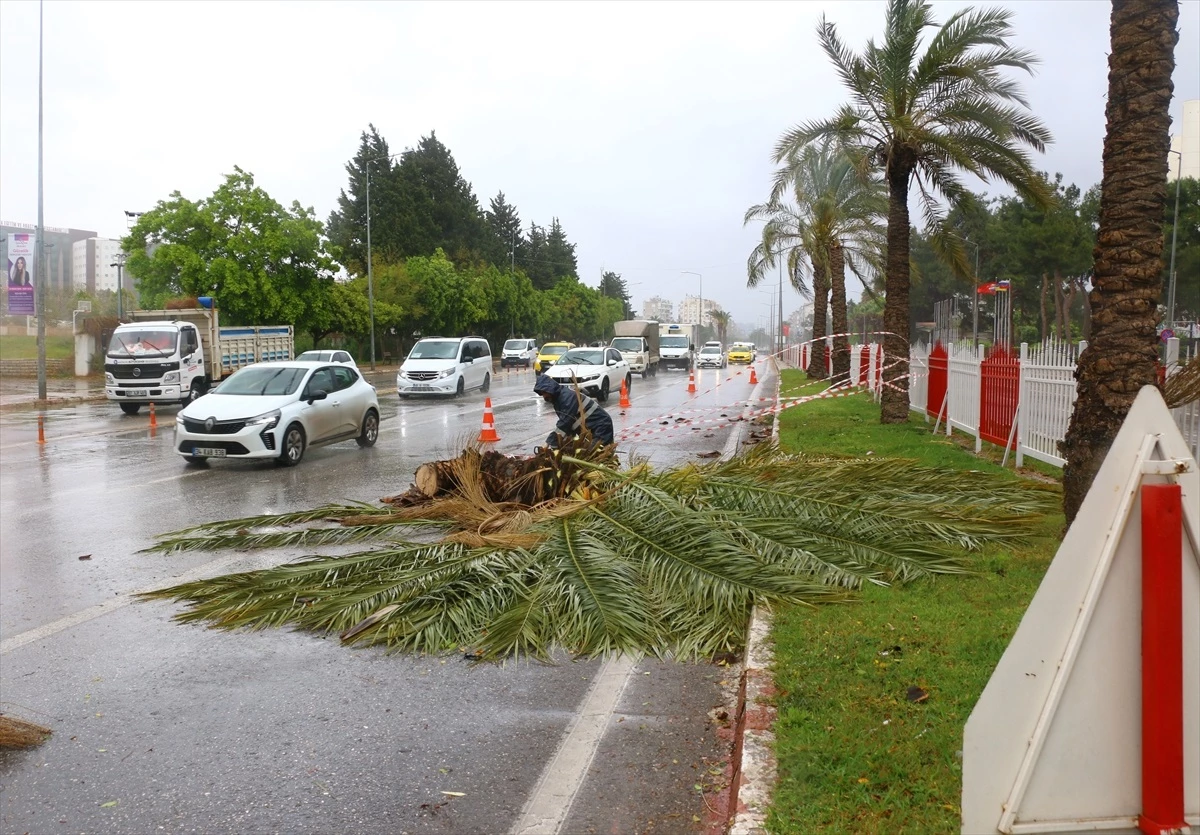 Antalya Büyükşehir Belediyesi, Fırtınadan Dolayı Meydana Gelen Olaylara Müdahale Etti