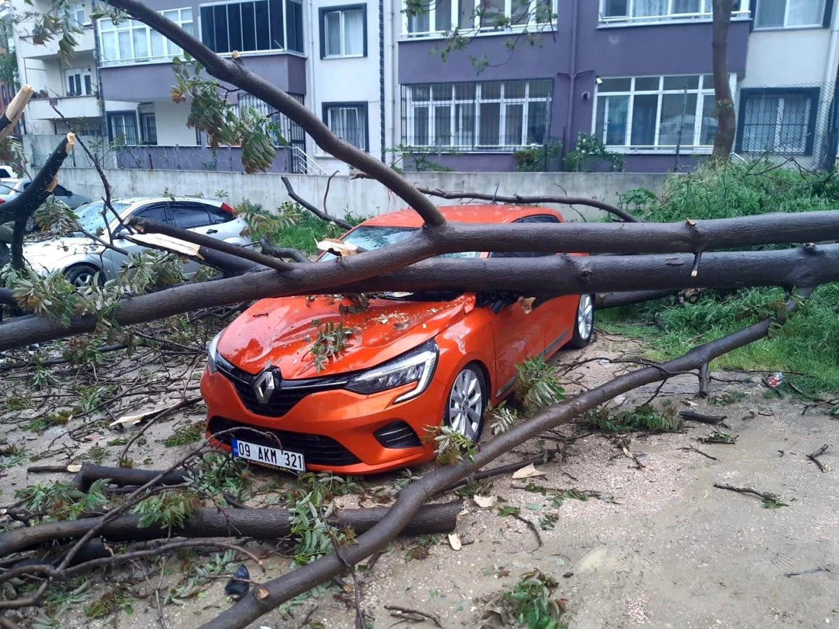 Bandırma\'da Çürümüş Ağaç Bir Otomobilin Üzerine Devrildi