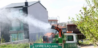 Çankaya Belediyesi Sivrisinek ve Karasinek İlaçlama Çalışmalarına Hız Verdi