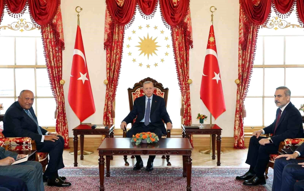 Cumhurbaşkanı Erdoğan, Mısır Dışişleri Bakanı Şukri\'yi kabul etti