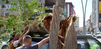 Konya Ereğli'de Fırtına Etkili Oldu: Ağaçlar Devrildi, Çatılar Uçtu