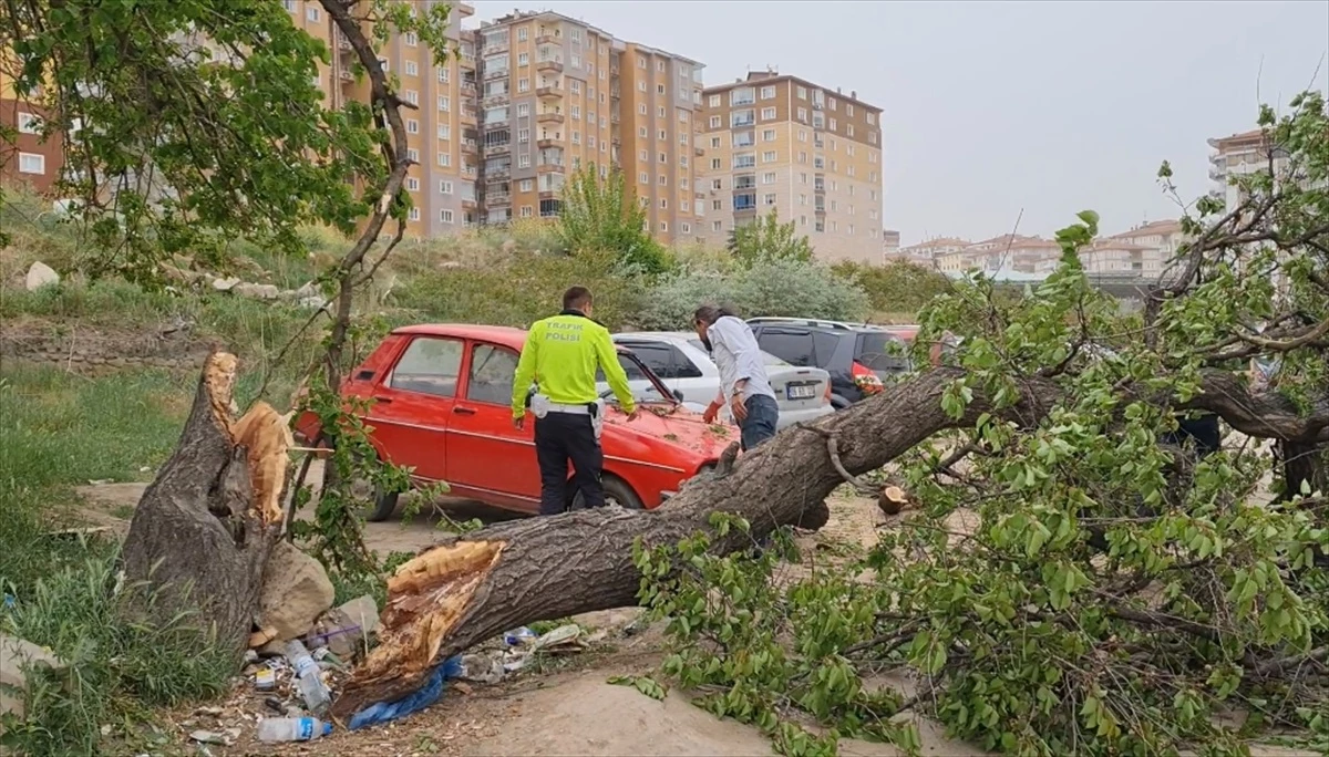 Kırıkkale\'de Şiddetli Rüzgar Nedeniyle Otomobile Ağaç Devrildi