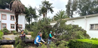 Nazilli Belediyesi Sağanak ve Fırtına Sonrası Müdahale Etti