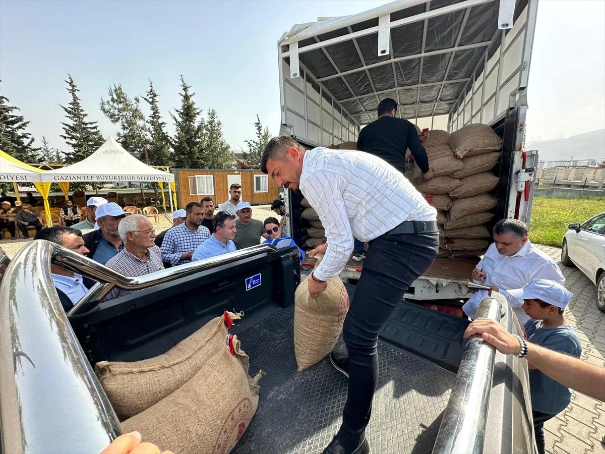 Gaziantep\'in Nurdağı ilçesinde 67 üreticiye 12 ton yer fıstığı tohumu dağıtıldı