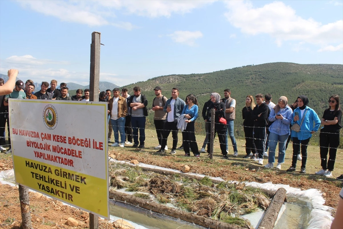 OMÜ Vezirköprü MYO Ormancılık Bölümü öğrencileri arazi gezisinde