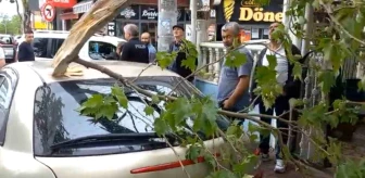 Bursa'da Rüzgarın Etkisi: Ağaç Dalı Otomobilin Üzerine Devrildi