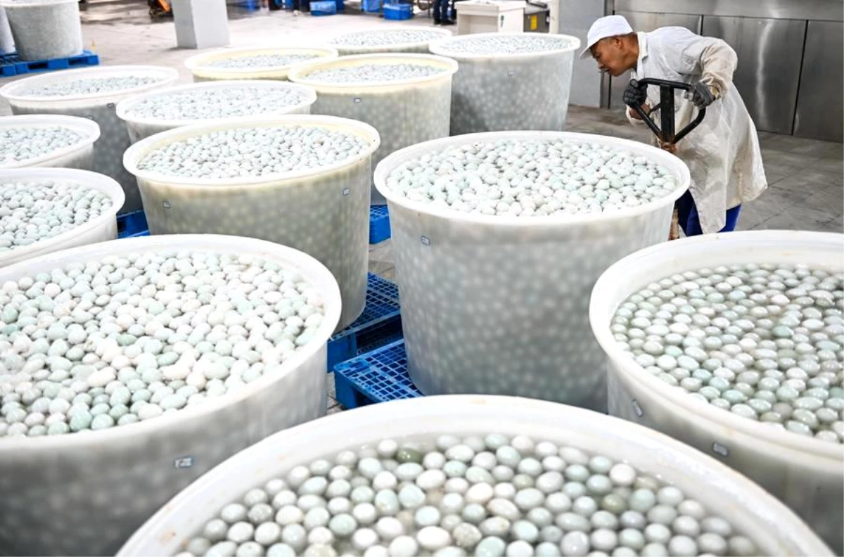 Çin\'de Gaoyou şehrinde 100\'den fazla ördek yumurtası işleme tesisi bulunuyor