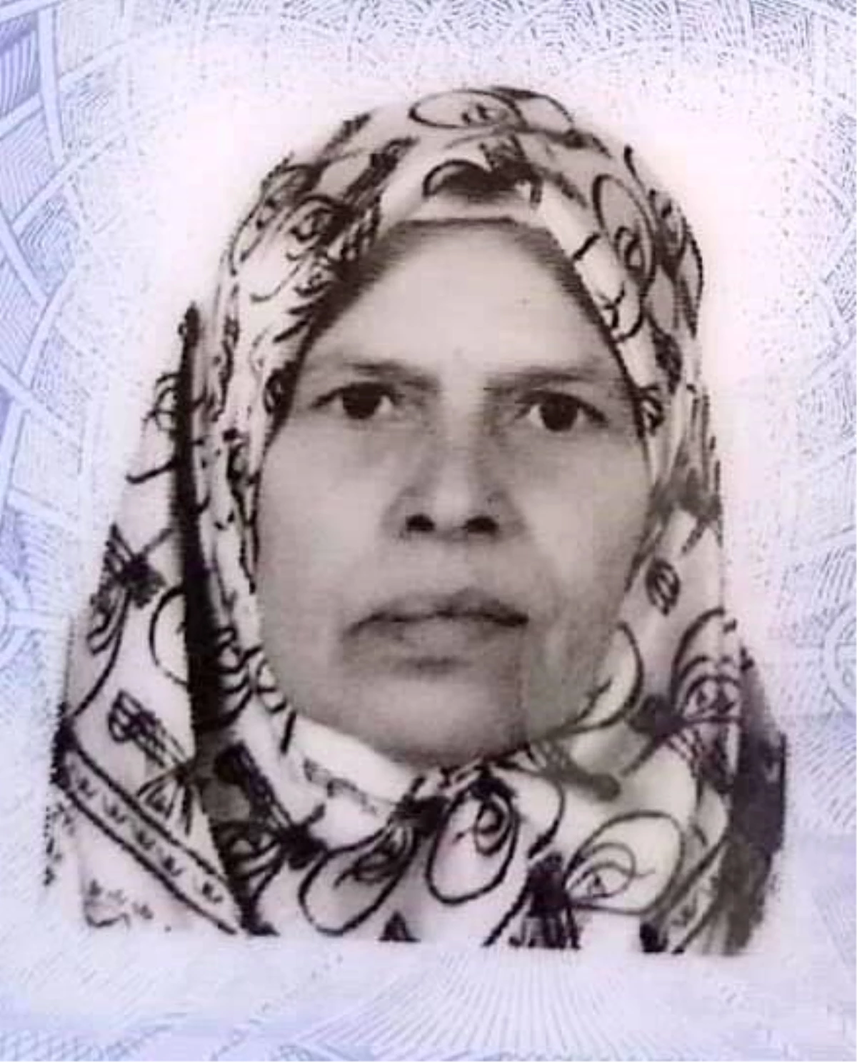 Elazığ\'da yaşlı kadın konteynerde ölü bulundu