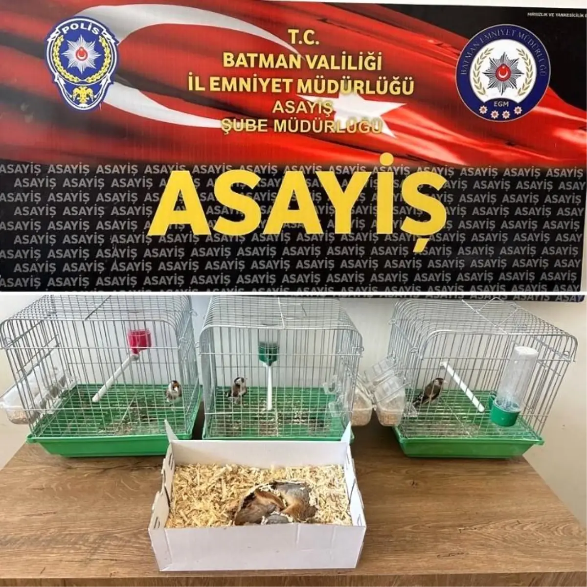 Batman\'da Yasak Hayvan Ticareti Operasyonu: 19 Bin 200 Lira Cezası Kesildi