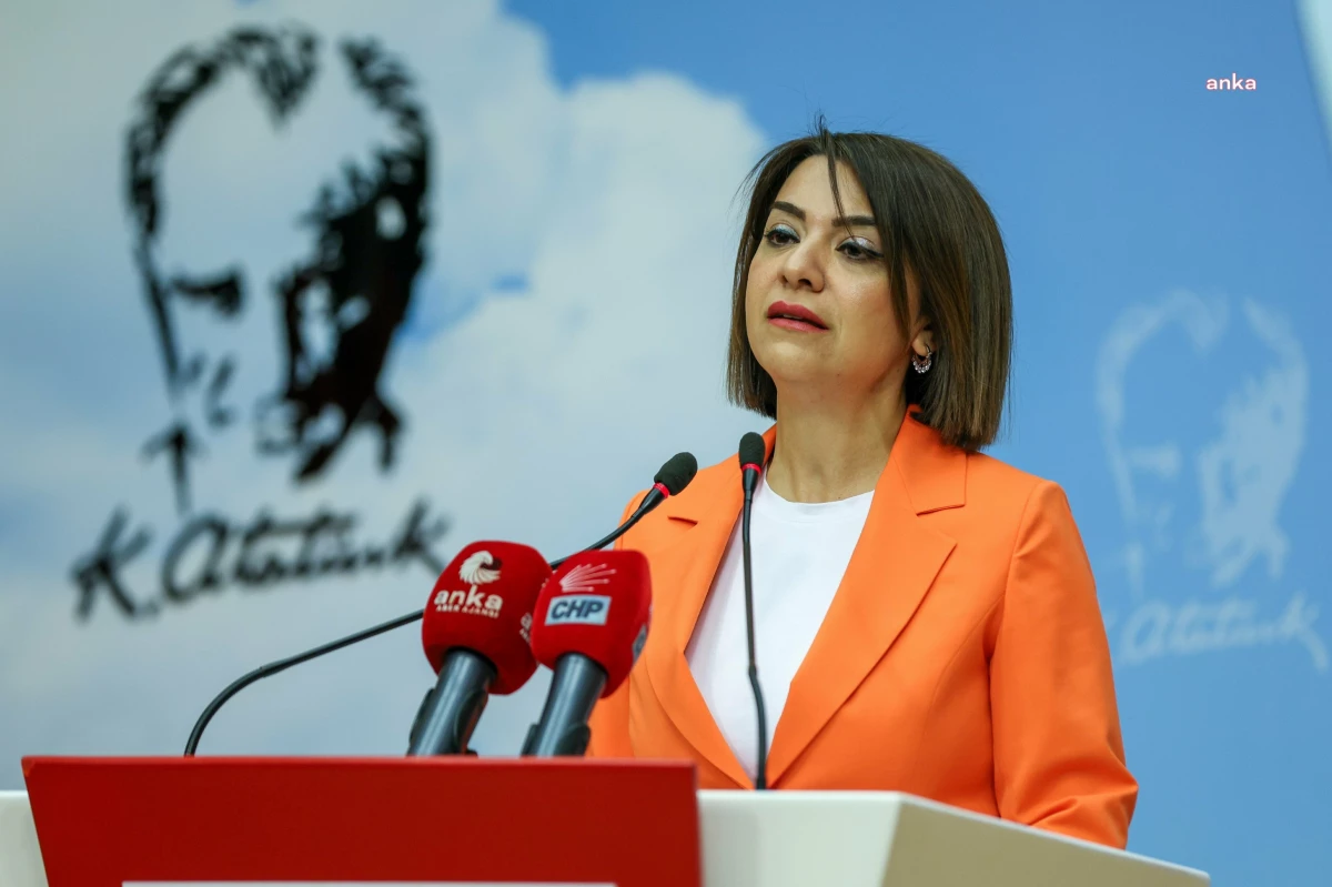 CHP Genel Başkan Yardımcısı Gamze Taşcıer, Çalışma Bakanı\'nın Taksim Meydanı açıklamasını eleştirdi