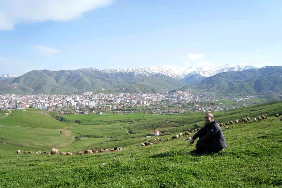 Kaval olmadan kaval sesi çıkaran Muşlu eski çoban, dinleyenleri kendine hayran bırakıyor