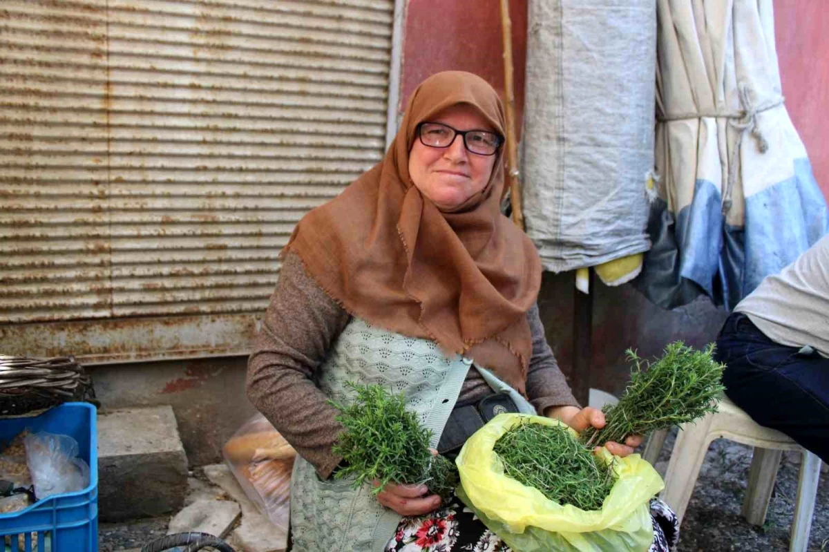 Aydın\'da Doğal Zahter Kekiği Yoğun İlgi Görüyor