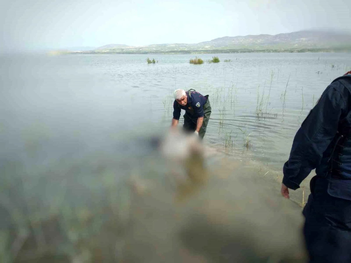 Malatya\'da Kayıp Şahsın Cesedi Baraj Göletinde Bulundu