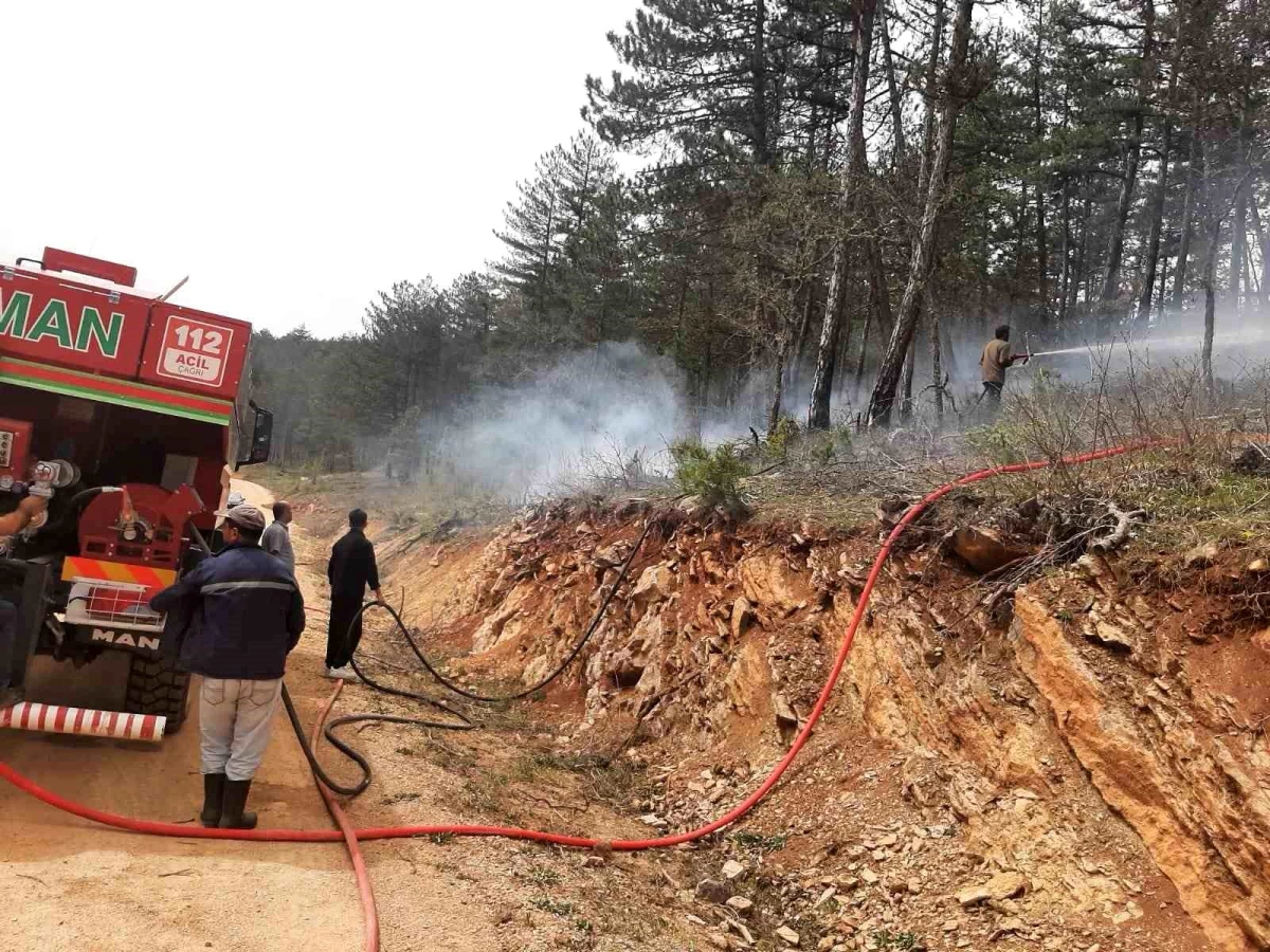 Eflani\'de Ormanlık Alanda Çıkan Yangın Kontrol Altına Alındı