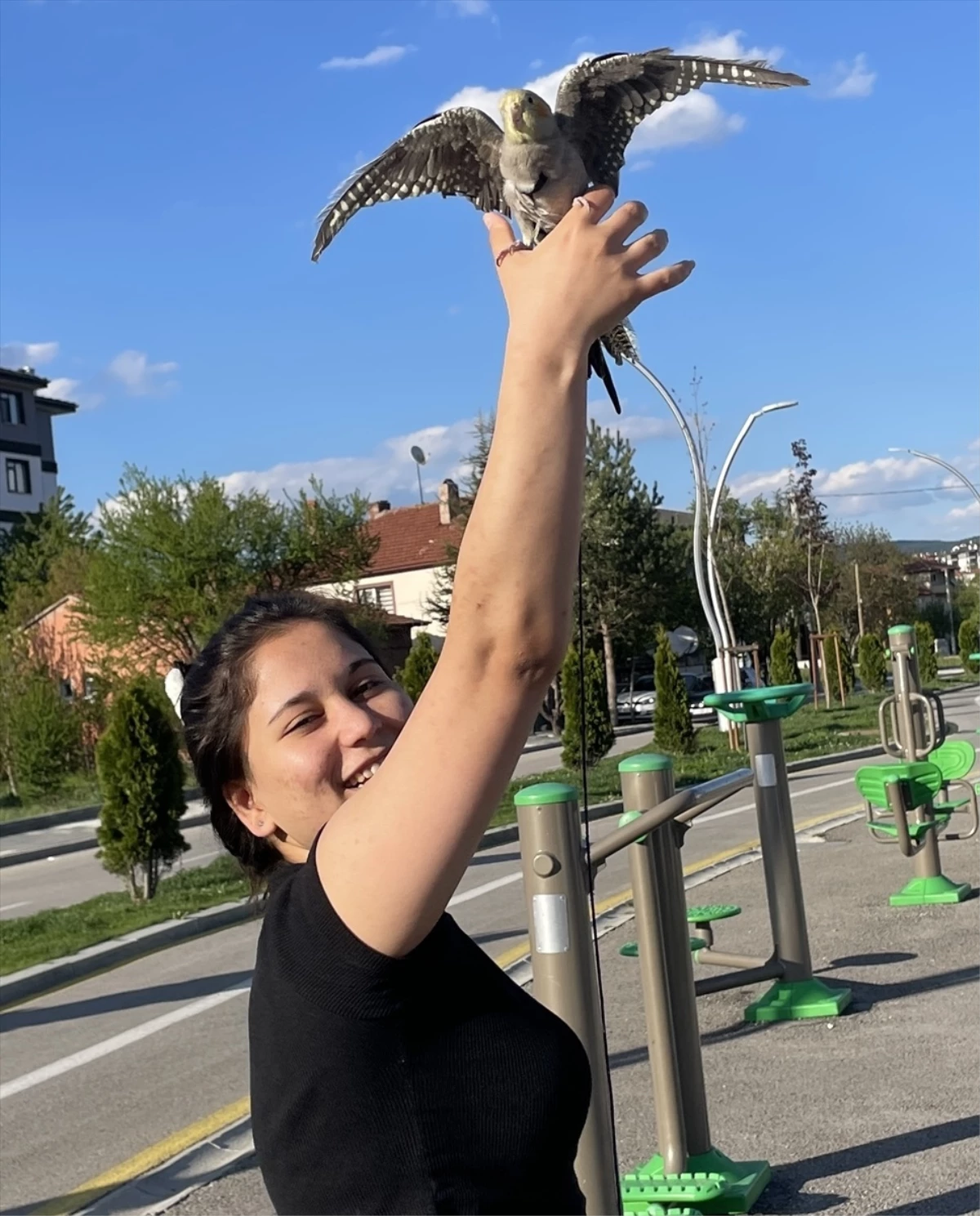 Bolu\'da Bir Genç Kızın Maraz Adlı Papağanıyla Geçirdiği Zaman