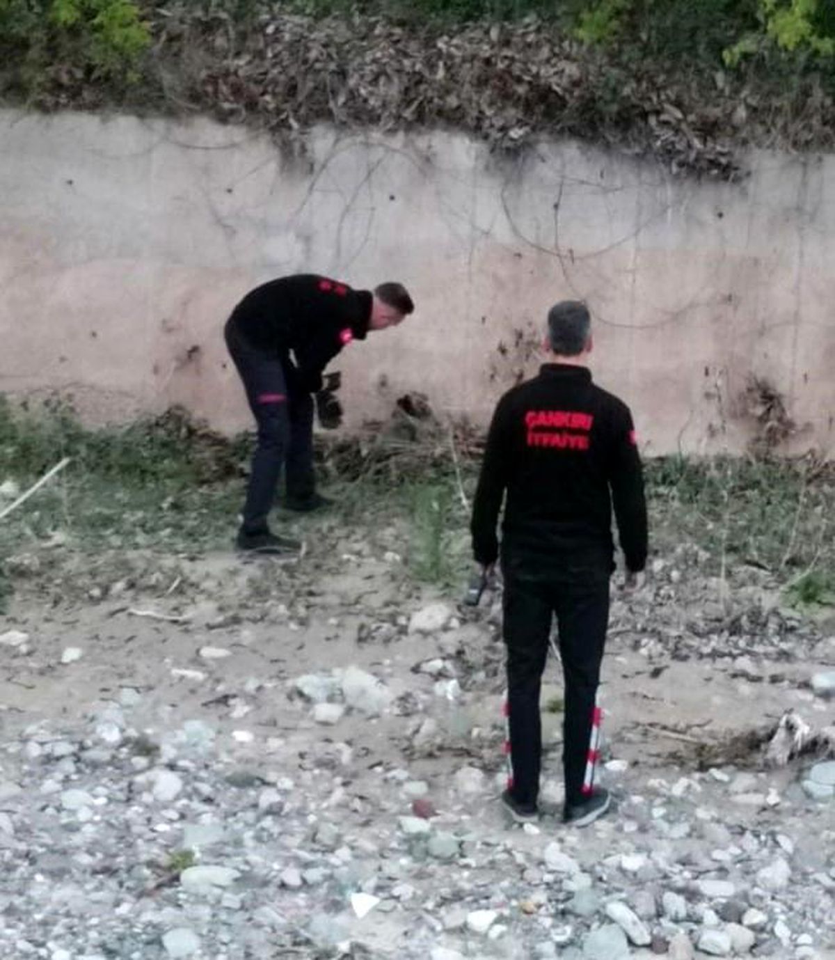 Çankırı\'da Çaya Düşen Yavru Köpek İtfaiye Tarafından Kurtarıldı
