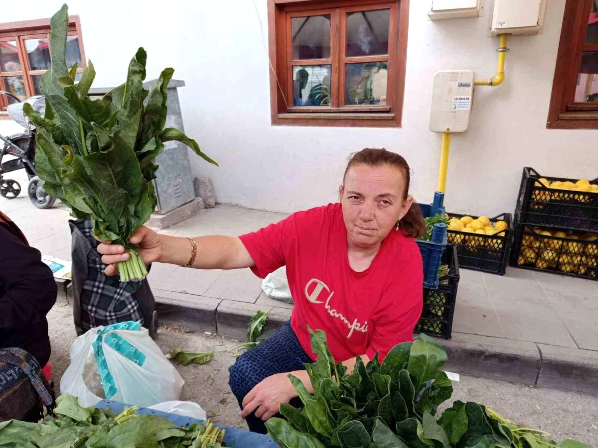 Eskişehir\'de Labada Bitkisi Toplayıp Satıyorlar