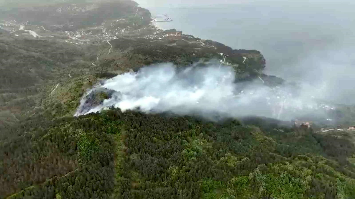 Kastamonu\'nun Doğanyurt ilçesinde ormanlık alanda yangın çıktı