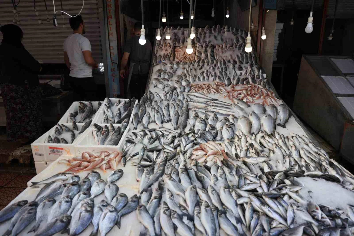 Adana\'da Balık Tüketimi Artıyor, Fiyatlar Yükseliyor
