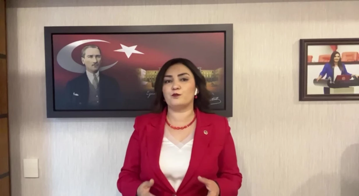 CHP İzmir Milletvekili Sevda Erdan Kılıç: AKP\'nin gençlere telefon desteği vaadi fiyaskoyla sonuçlandı