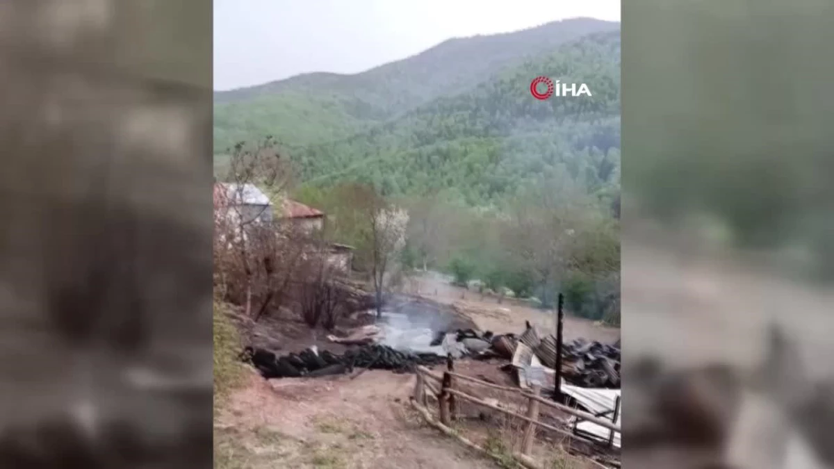 Sinop\'ta 2 ev alev alev yandı
