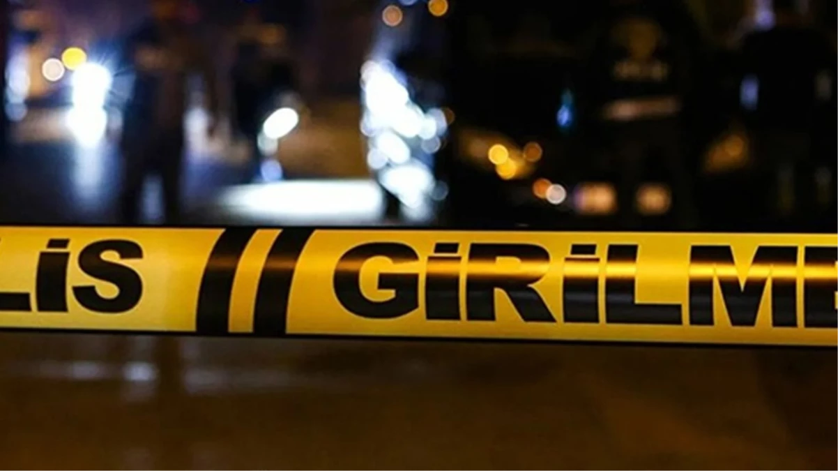 Ankara\'da mesire alanında silahlı kavga: 2 kişi hayatını kaybetti