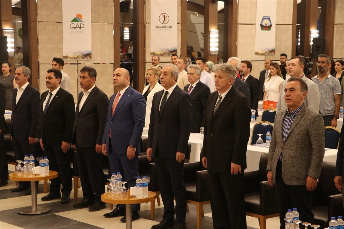 Diyarbakır\'da 10. Veteriner Gıda Hijyeni Kongresi düzenlendi
