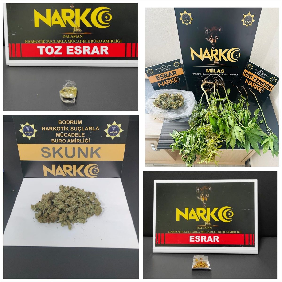 Muğla\'da uyuşturucu operasyonunda 8 şüpheli gözaltına alındı