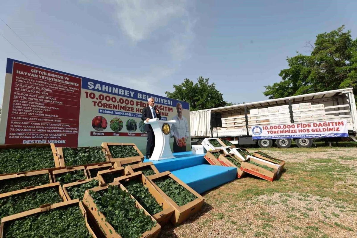 Şahinbey Belediyesi, çiftçilere fide dağıtımını sürdürüyor