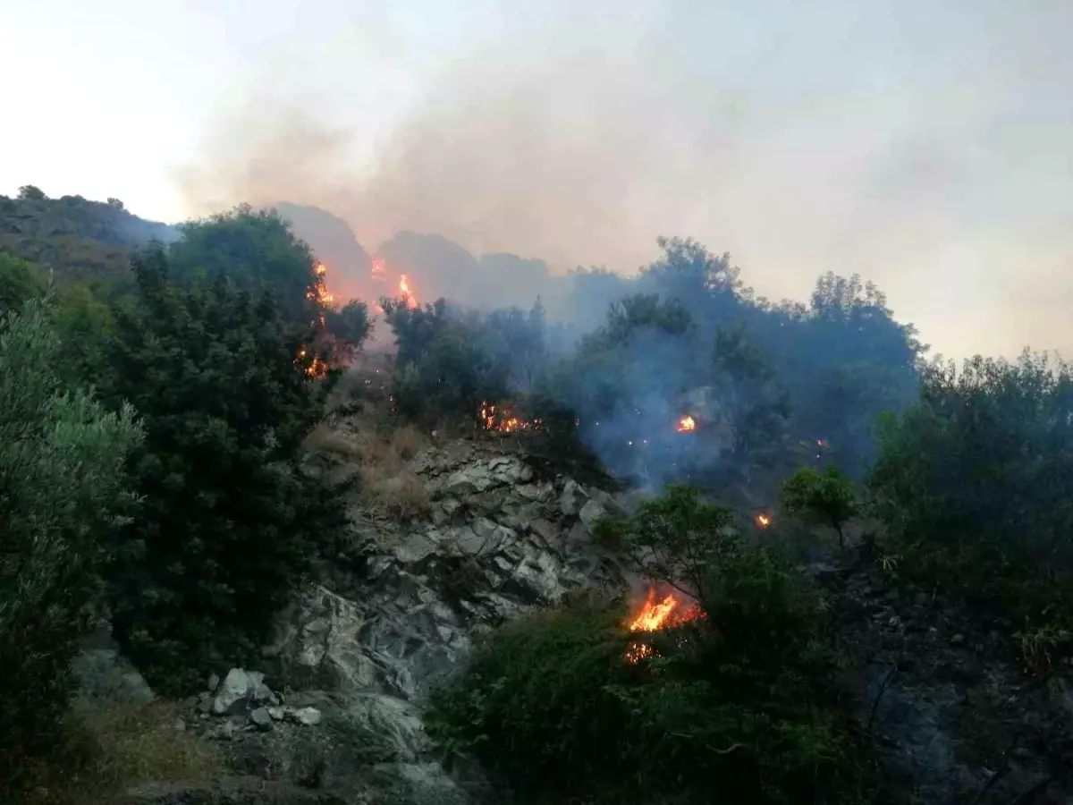 Hatay\'da Zeytinlik Alanında Yangın Çıktı