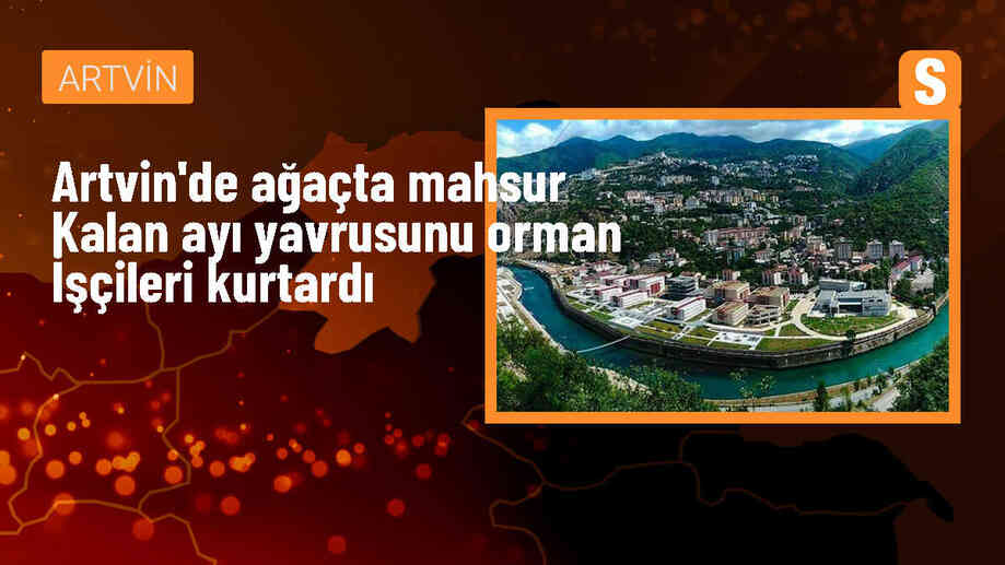 Artvin Şavşat\'ta mahsur kalan ayı yavrusu kurtarıldı