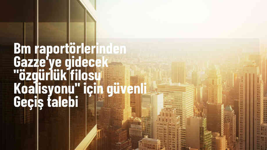 BM Raporları, Özgürlük Filosu Koalisyonu için Güvenli Geçiş Talep Etti